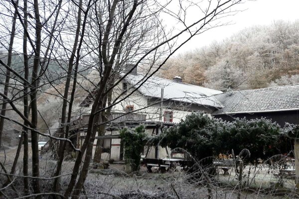 Knus vakantiehuis voor 4 in de Eifel bij Lutzerath - thumbnail 6