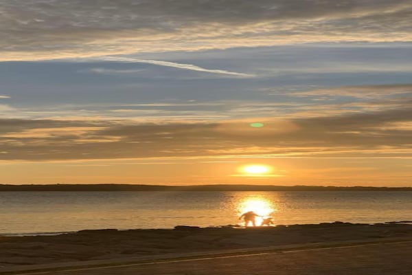 Op 1,0 km van het strand: Sfeervol appartement in Valbandon - thumbnail 4