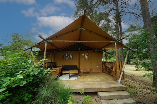 Lodgetent 4 - Ede