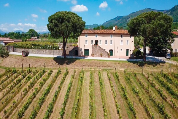 Historisch wijngoed met 6 slaapkamers en uitzicht op Toscaanse heuvels - thumbnail 2