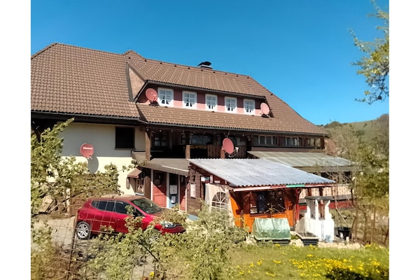 4-persoons appartement in centrum Bernau-Innerlehen nabij de piste - thumbnail 1