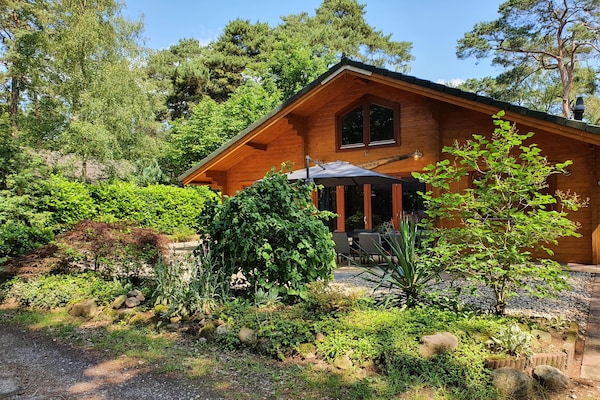 Luxe bosvilla Casa Madeira: wellness en rust in Markelo - thumbnail 1