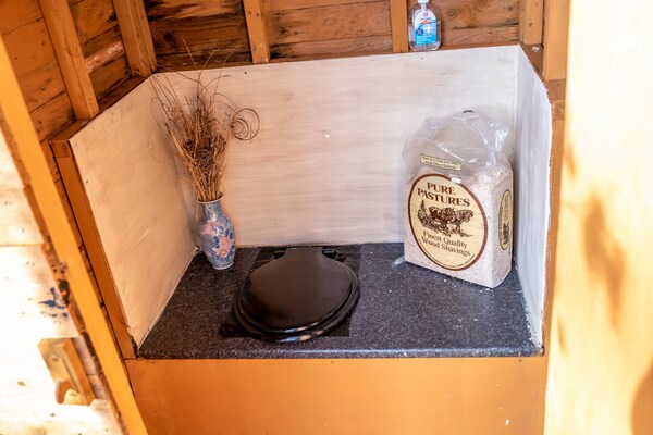 Yeworthy Eco-Treehouse: Duurzame boomhut aan privémeer in Devon - thumbnail 5