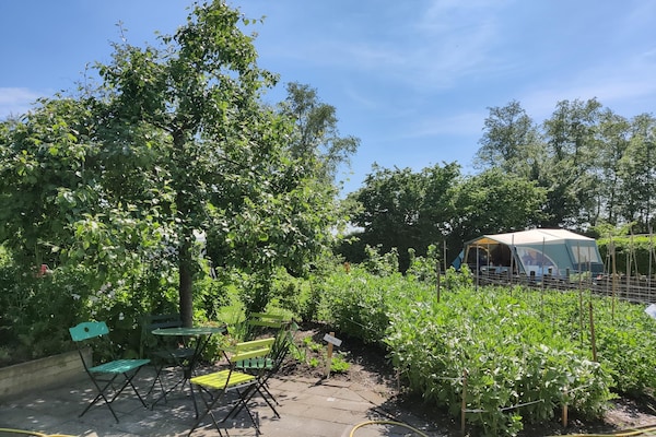Vrijstaand vakantiehuis met serre in rustige natuur, huisdieren welkom - thumbnail 1