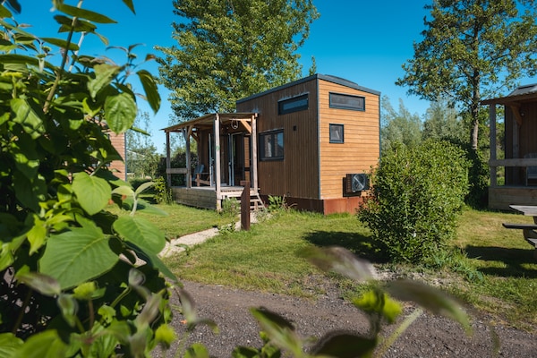 4 Tiny Greenhouses met groepsruimte in Friese natuur, 16 personen - thumbnail 3