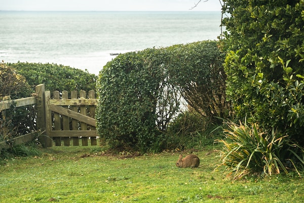 Klifhuisje met panoramisch zeezicht in Sennen Cove, 230 meter van het strand - thumbnail 4