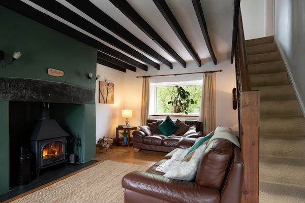 Aan het strand: Charmant landhuis Bron Elan in Dolwyddelan - thumbnail 6