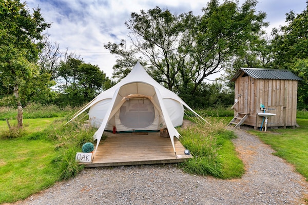 Unieke glamping in Oak Lotus Belle Tent op melkveebedrijf bij Ilfracombe - thumbnail 3