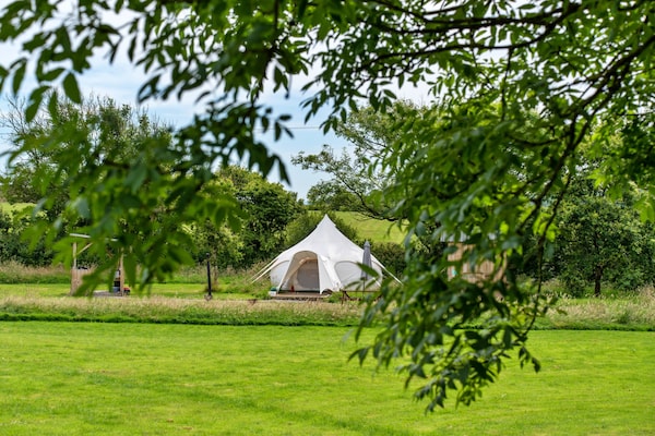 Unieke glamping in Oak Lotus Belle Tent op melkveebedrijf bij Ilfracombe - thumbnail 2