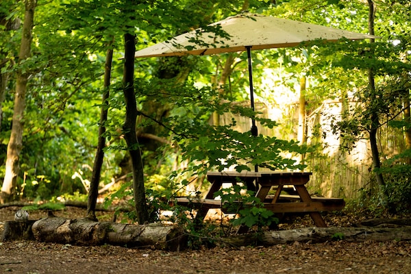 Glamping in eeuwenoud bos: Bluebelle Pod bij Newbury - thumbnail 6