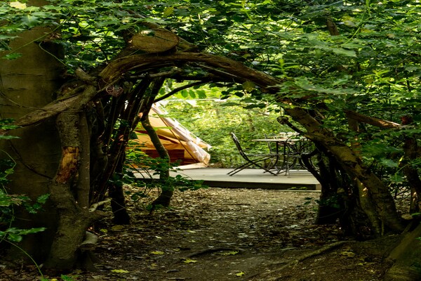 Magische Bell Tent in privébos bij Newbury – 6 personen - thumbnail 5