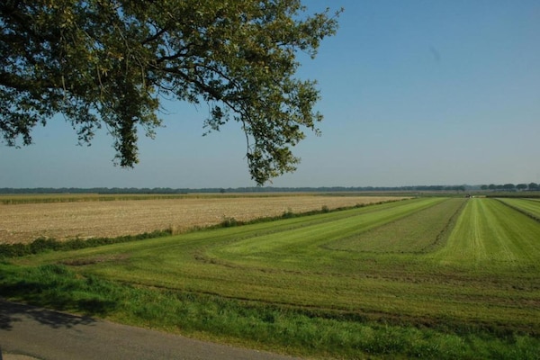 Ruischende Dennen