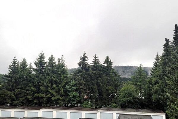 Appartement direct aan de piste in Winterberg met balkon op het zuidwesten - thumbnail 6
