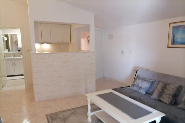 Royaal appartement met zeezicht en terras op 100 meter van het strand - thumbnail 1