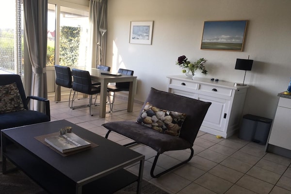 Knus vakantiehuis op Ameland met zuidterras en weids uitzicht - thumbnail 3