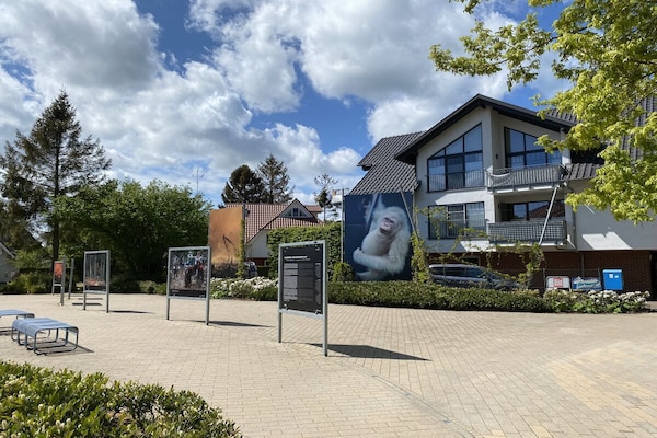 Licht appartement met zuidwest balkon op 100m van het centrum van Zingst - thumbnail 2