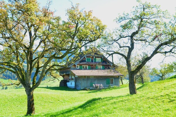 Knus appartement in Sattel met uitzicht op de bergen, vlakbij skilift - thumbnail 4