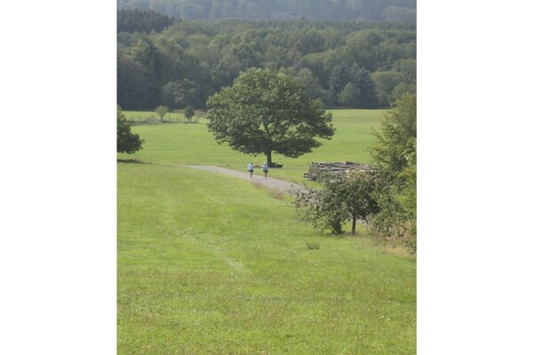 Vrijstaand vakantiehuis aan Nationaal Park Hunsrück-Hochwald met kachel & tuin - thumbnail 5