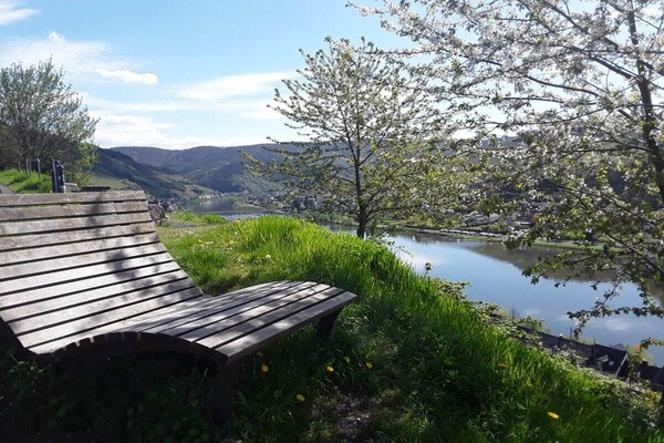 Ecologisch gerenoveerd vakantiehuis met wijngaardterras in Zell aan de Moezel - thumbnail 3