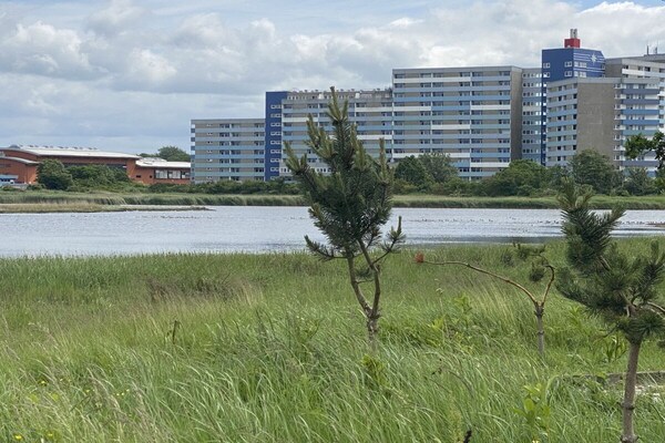 Panorama-appartement Freiheit met weids uitzicht over de Oostzee bij Heiligenhafen - thumbnail 4