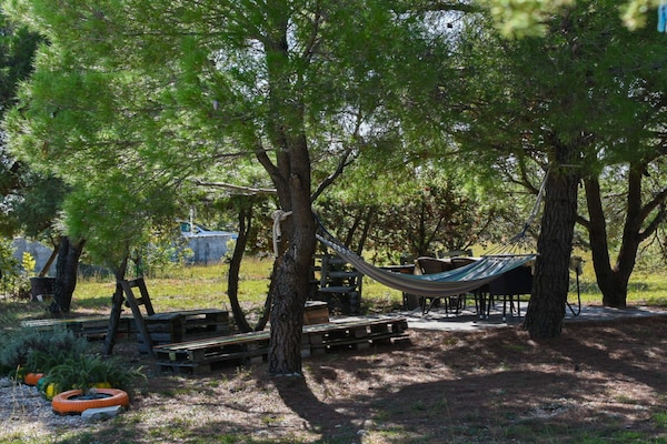 Villa Mystic Woods: rustige natuurvilla in Bristane, Kroatië voor 4 personen - thumbnail 6