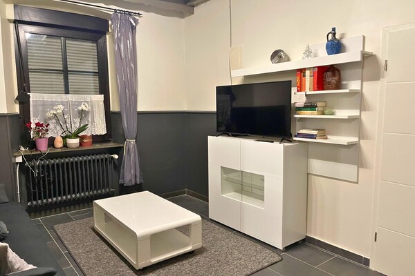 Licht appartement in Pellingen, vlakbij Trier en de Moezel - thumbnail 6