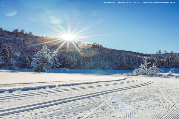 Ruim appartement in Lachtal direct aan de skipiste - thumbnail 6