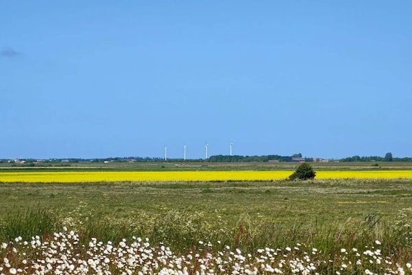Historisch vakantiehuis in Højer bij Nationaal Park Waddenzee - thumbnail 4