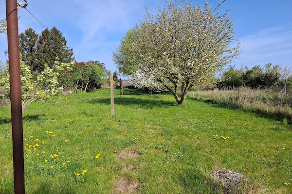 Vrijstaand vakantiehuis in Borre op Møn, vlakbij Møns Klint en zee - thumbnail 4