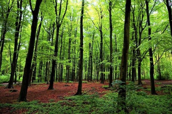 Kijkduinpark