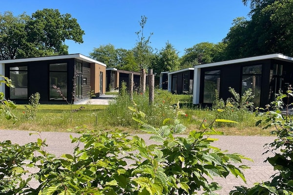 Yn 't Bosk: Luxe vakantiehuis op schilderachtig Fries landgoed - thumbnail 4