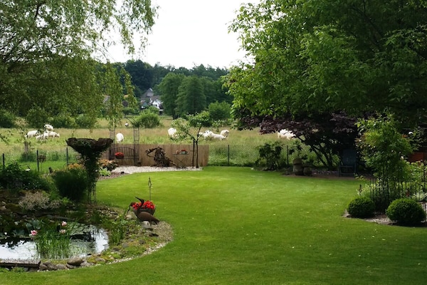 Vakantiehuis Walsrode voor 4 personen met terras en barbecue - thumbnail 6