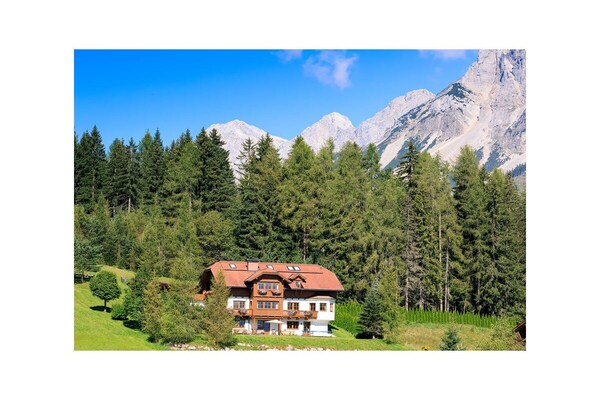 Vrijstaand houten chalet aan de bosrand in Ramsau am Dachstein - thumbnail 4