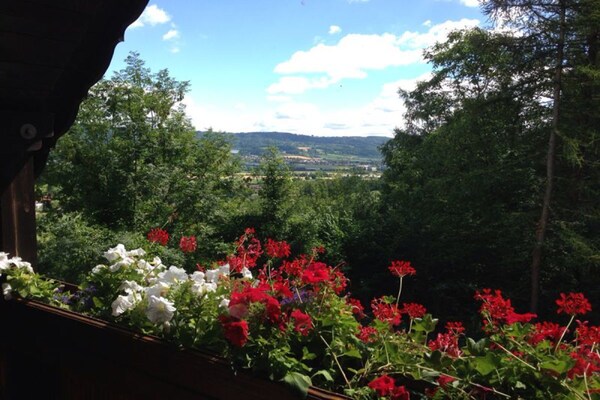 Idyllisch vakantiehuis bij Überlingen met balkon en uitzicht over boomgaarden - thumbnail 3