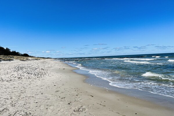 Modern appartement bij het strand met terras en open haard in Zingst - thumbnail 3