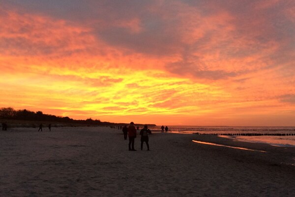 Modern appartement bij het strand met terras en open haard in Zingst - thumbnail 5