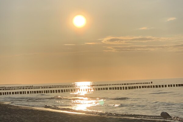 Modern appartement bij het strand met terras en open haard in Zingst - thumbnail 6