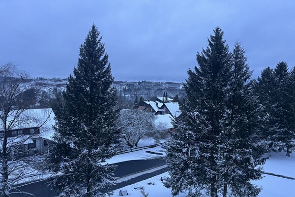 Knus appartement in Altenau met balkon en uitzicht op de Harz - thumbnail 3