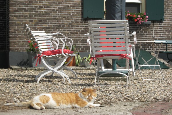 Hertenbroeksgoed Hertenbroeksgoed