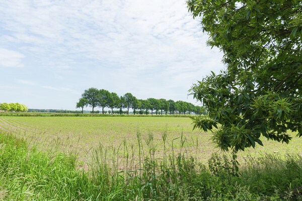 Hertenbroeksgoed Hertenbroeksgoed