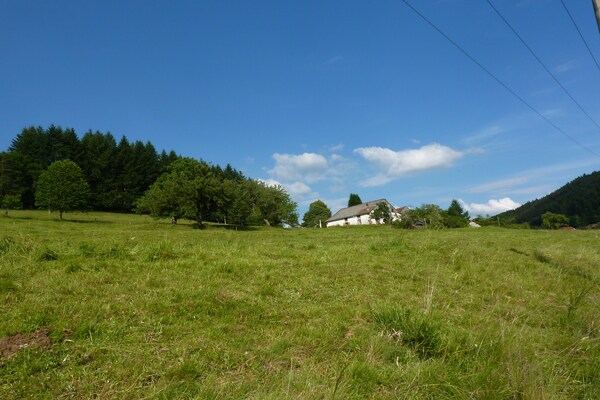 Genevieve 1: Knusse natuurretraite voor 4 in de bossen van Vagney - thumbnail 3