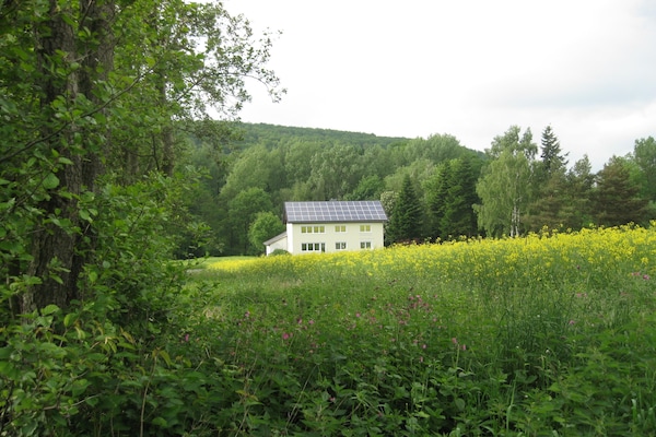 Gästehaus Kühne Fewo 1 Og - Frielendorf