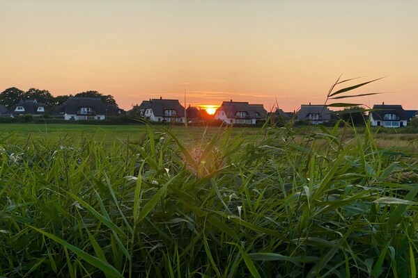 Ruim vakantiehuis met sauna, 1,7 km van strand Zinnowitz - thumbnail 6