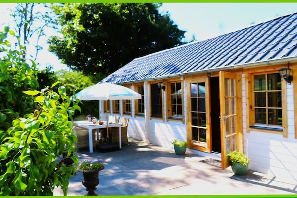 Tiny Botanic House: knus vakantiehuis met tuin en zwembad bij de Waddenzee - thumbnail 1