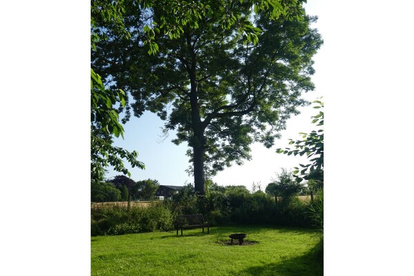Gerenoveerd rieten dak vakantiehuis met grote tuin bij Stoltebüll - thumbnail 6