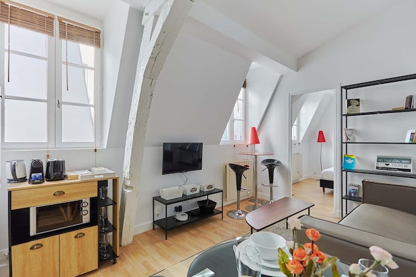 Charmant appartement in de Marais, vlakbij Place des Vosges - thumbnail 1