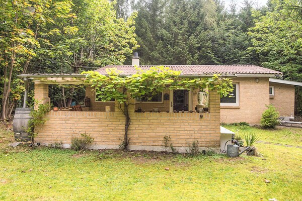 Vrijstaand vakantiehuis op een natuurlijk privéterrein nabij Ans By - thumbnail 1
