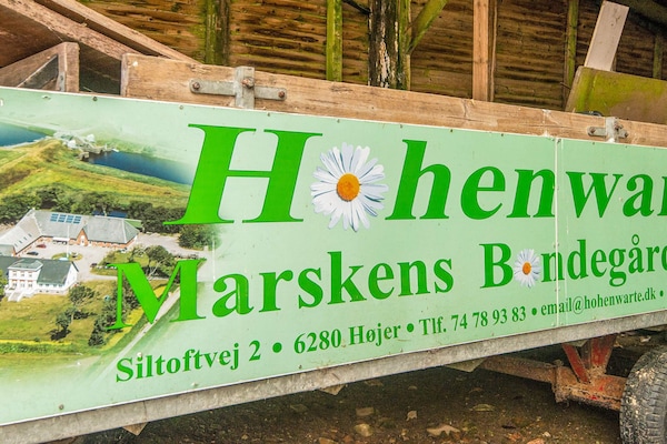 Sfeervol vakantiehuis op boerderij Hohenwarte in Højer · 40 m² - thumbnail 1