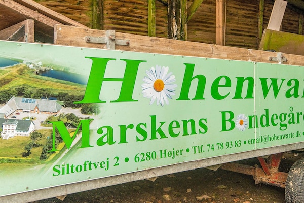 Vakantiehuis op boerderij Hohenwarte nabij Højer en de Waddenzee - thumbnail 1