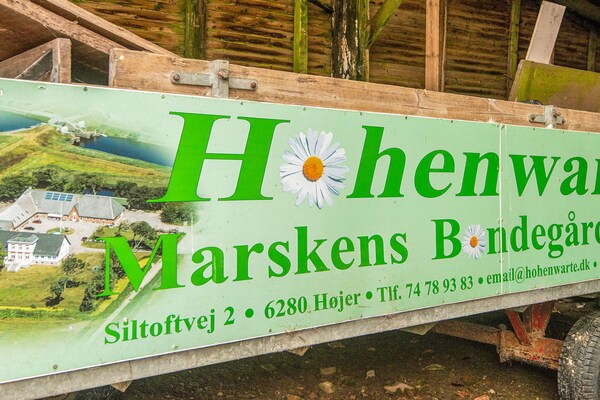 Knus vakantiehuis op boerderij Hohenwarte, 2 km van de Waddenzee - thumbnail 1